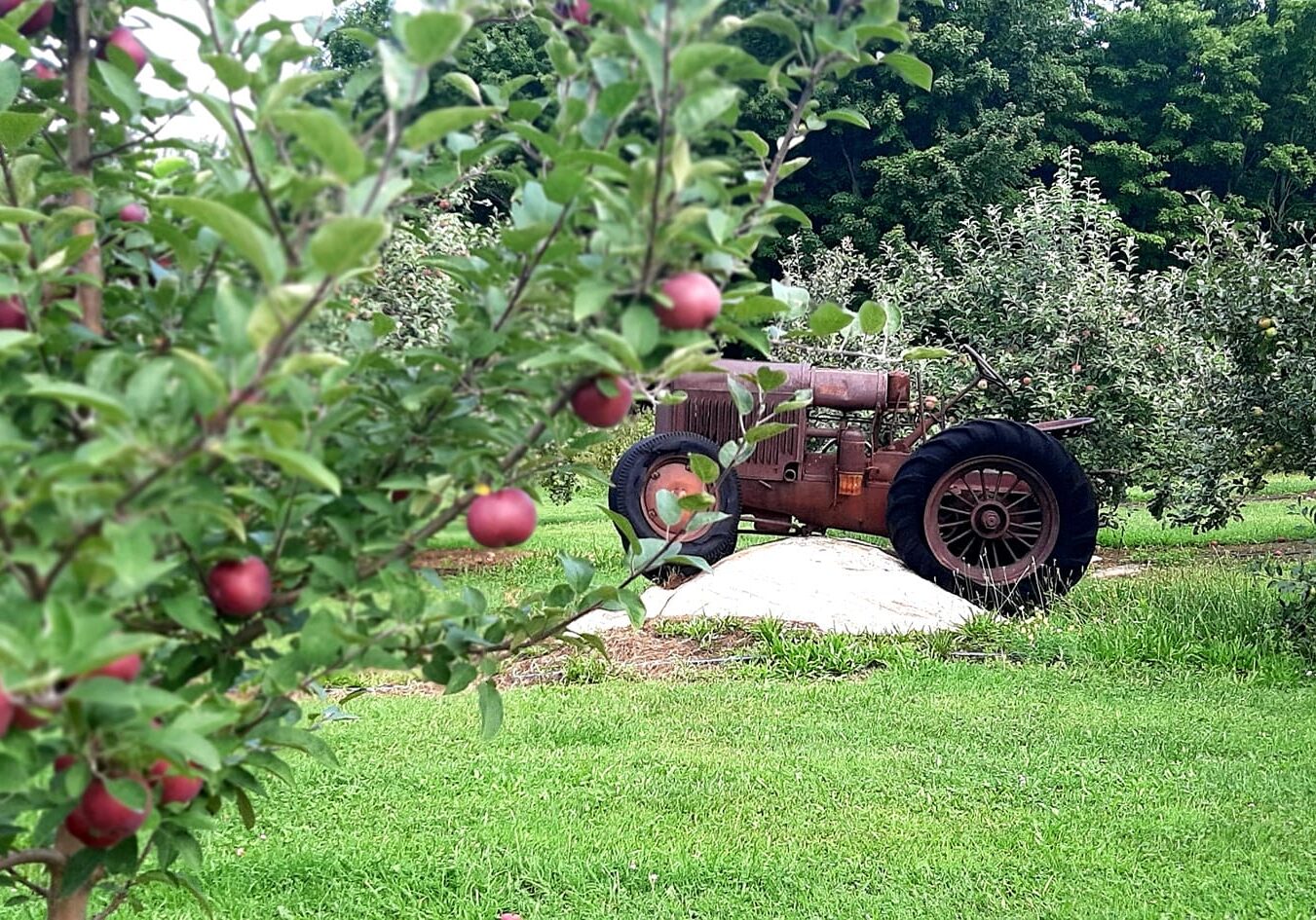 Parishville Center Orchard