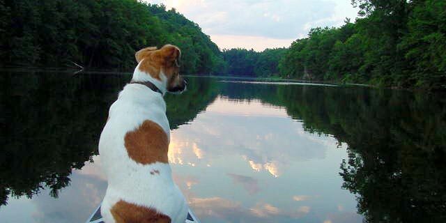 Kayaking with dog