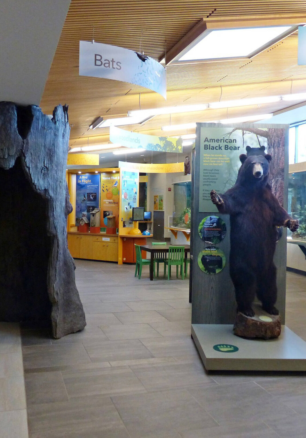 Nicandri Nature Center